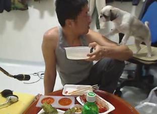 인터넷방송서 개에게 욕설 및 던지는행위등 반 폭력적인 동물학대 행위