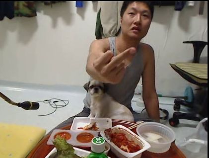 인터넷 방송 동물학대 신고합니다