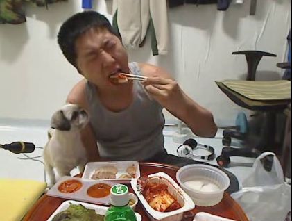 인터넷 방송 동물학대 신고합니다