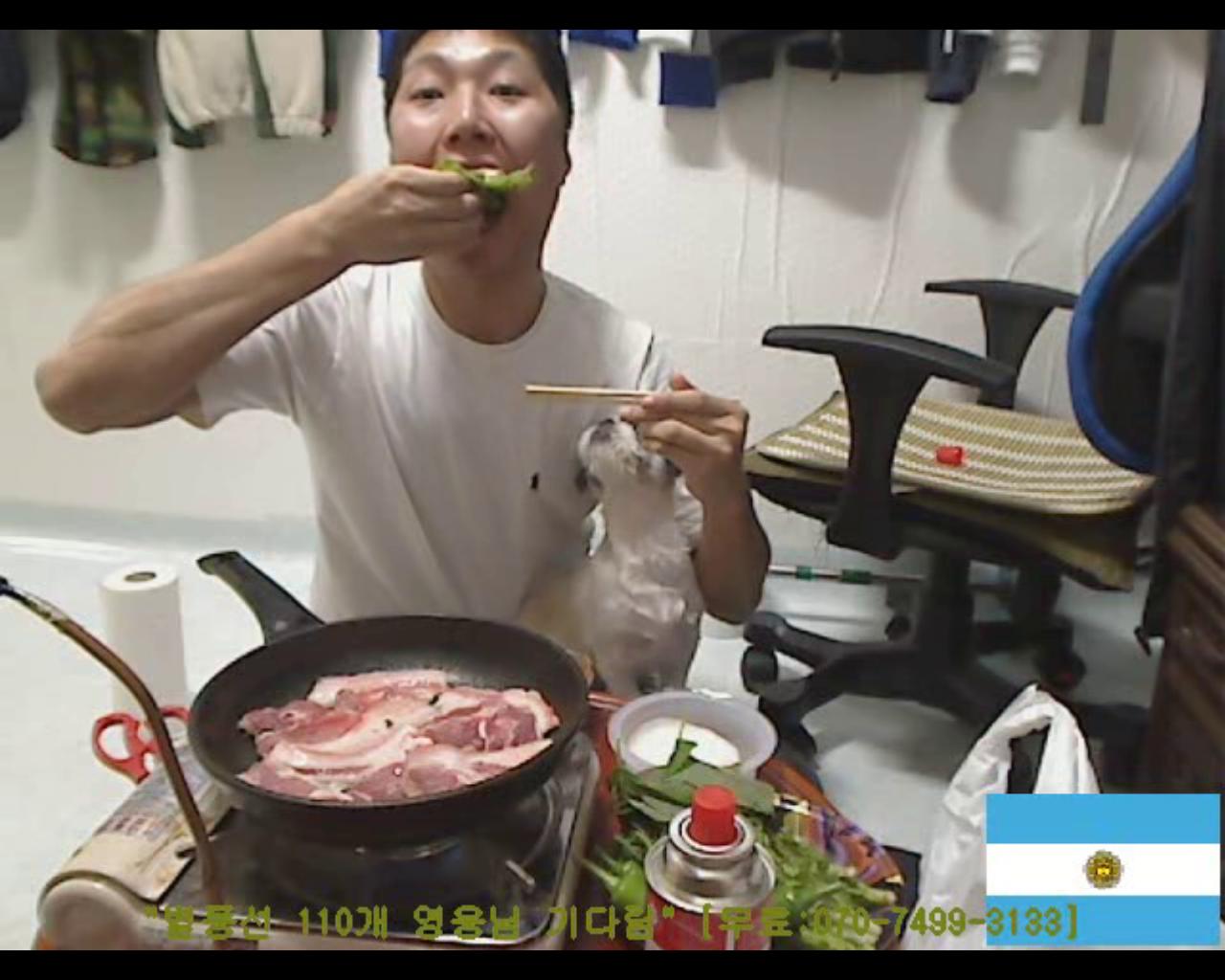 인터넷 방송 동물학대 신고합니다