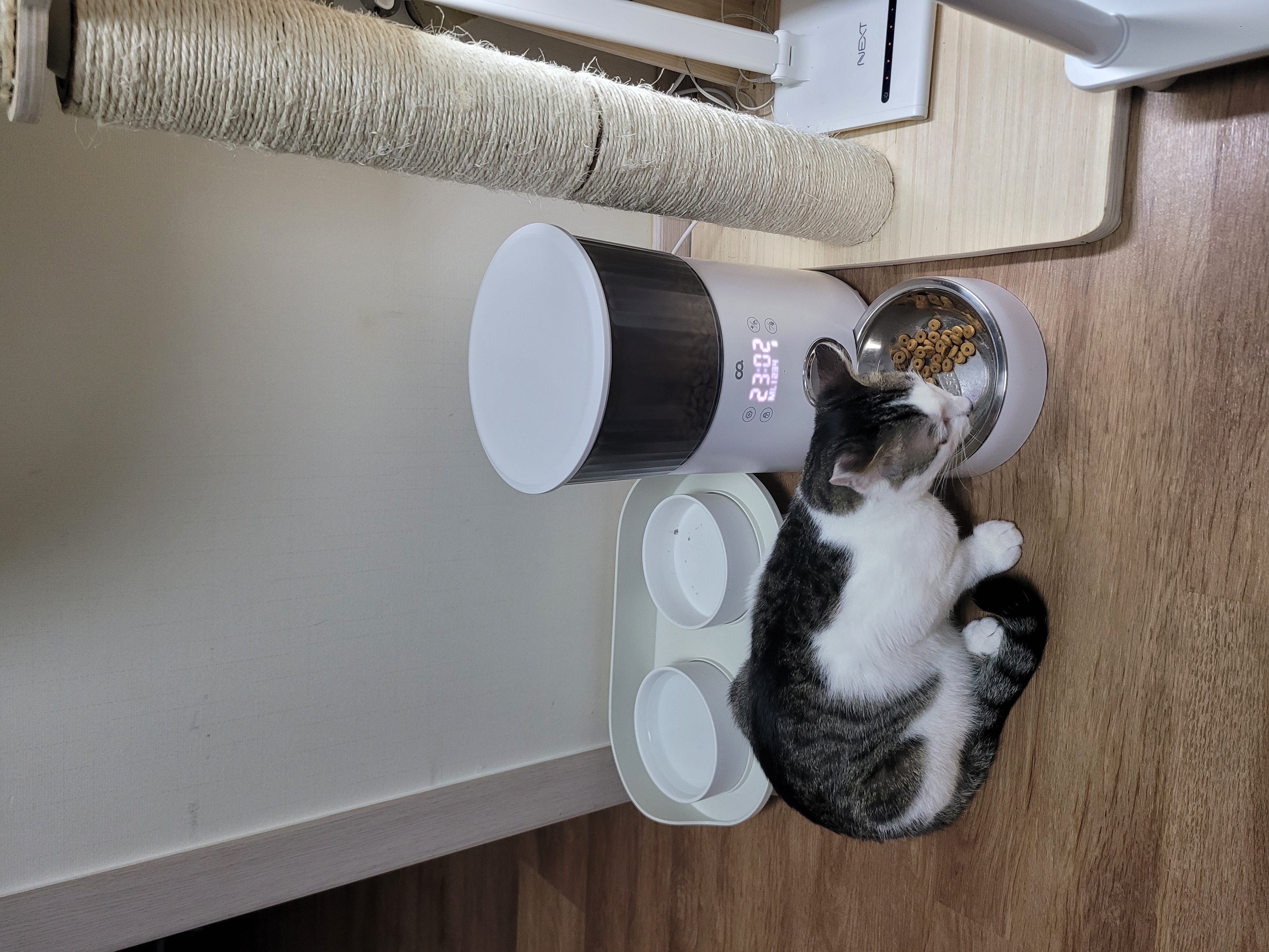 우동이 3개월 이후