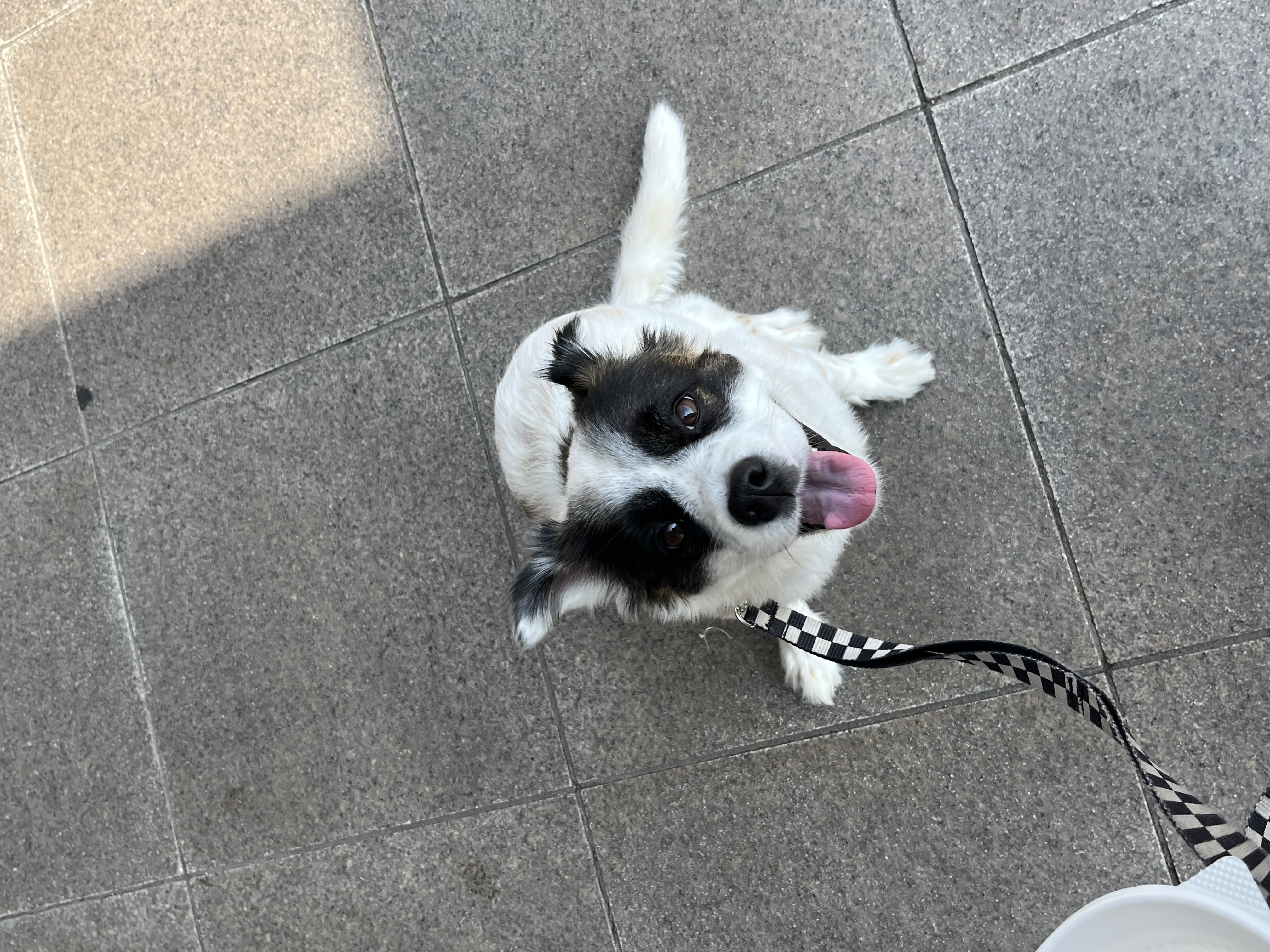 레오(오래) 잘 지내고 있어용