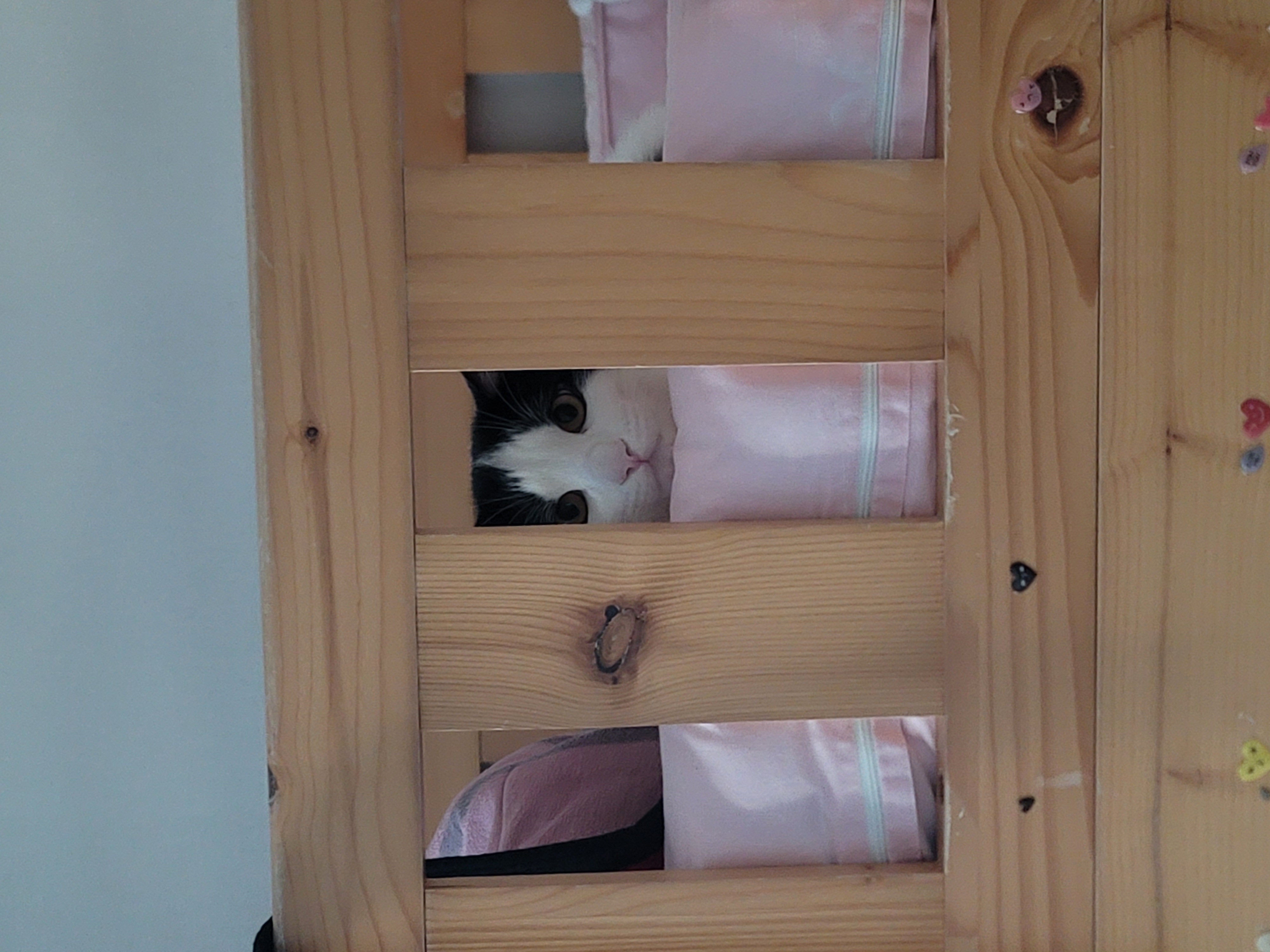 우주는 조금씩, 그러나 열심히 탐색과 적응을 하고 있습니다.