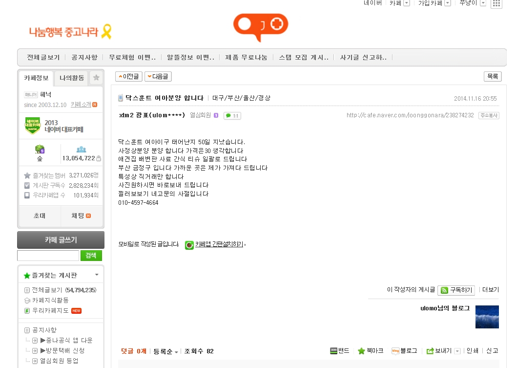 인터넷 중고카페 반려견 판매
