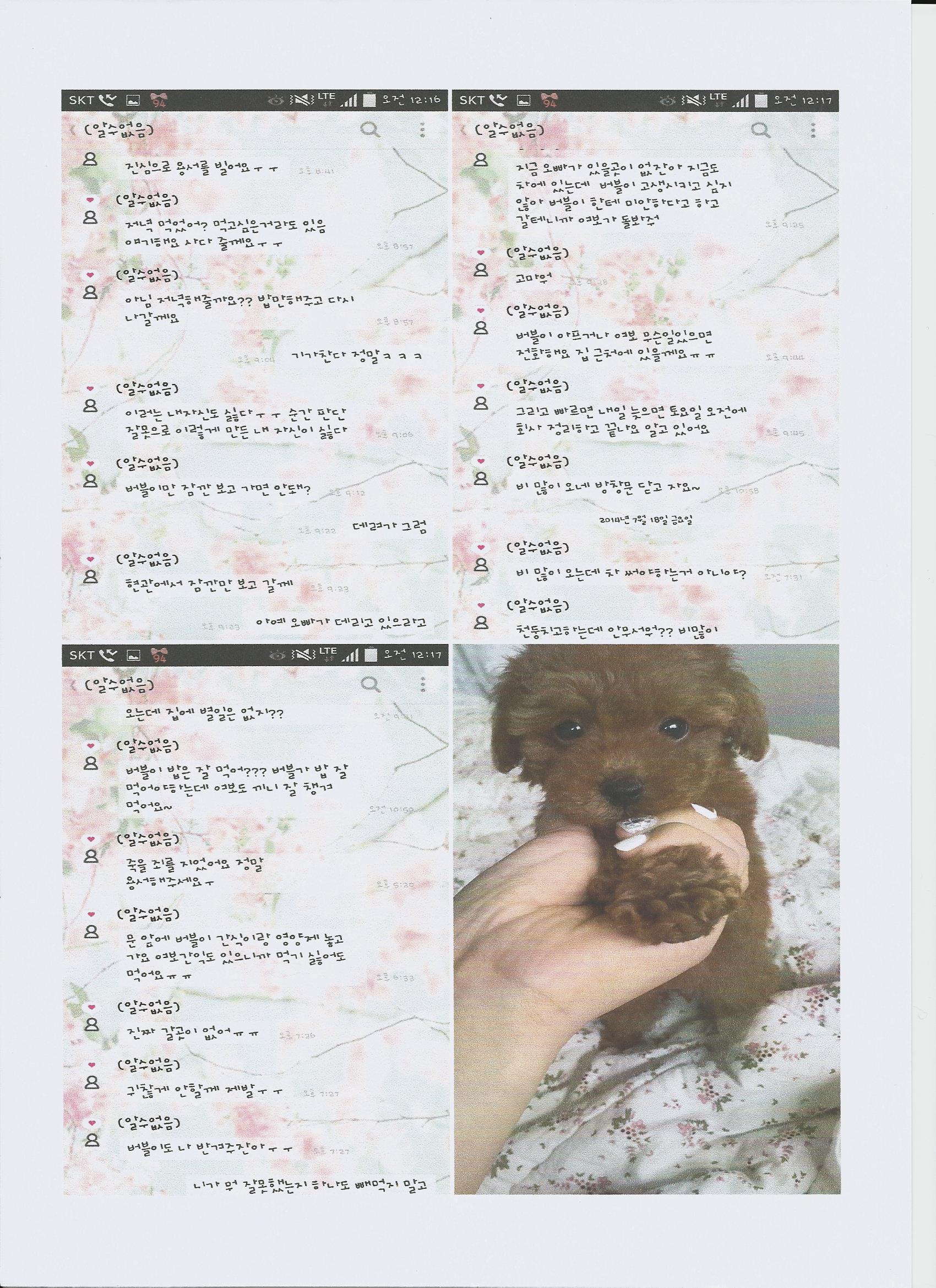 새끼 강아지를 던지려고 했어요.