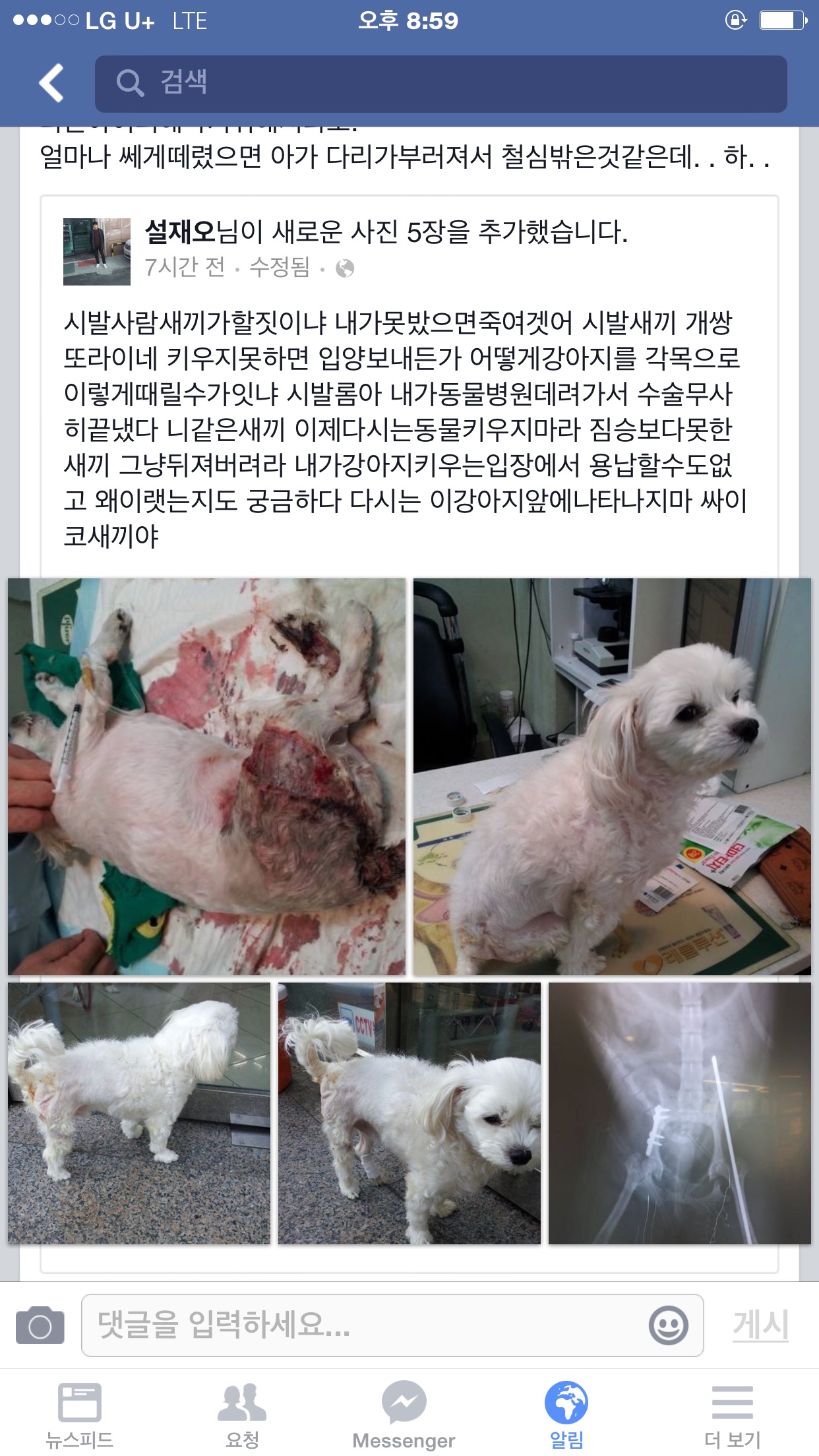 페이스북에 학대구조견 제보글입니다.