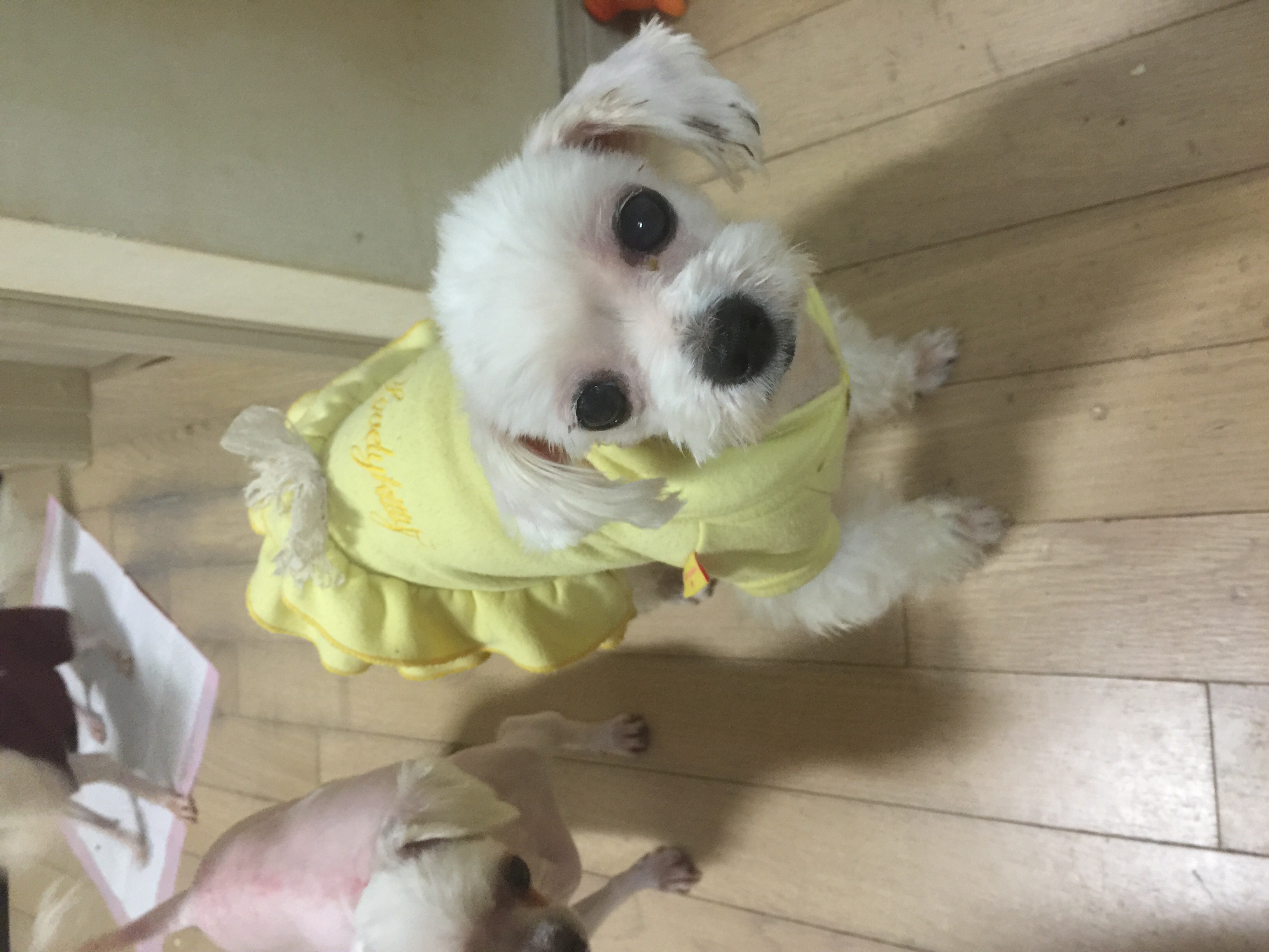 안녕하세요~혹시 제 메일못보셨나해서요~