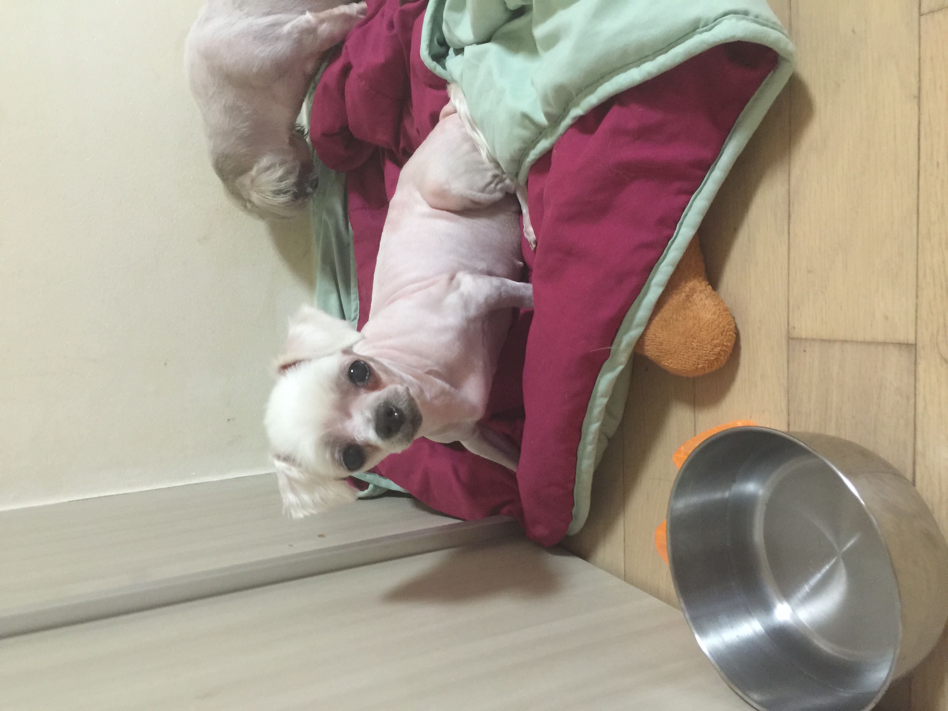 안녕하세요~혹시 제 메일못보셨나해서요~
