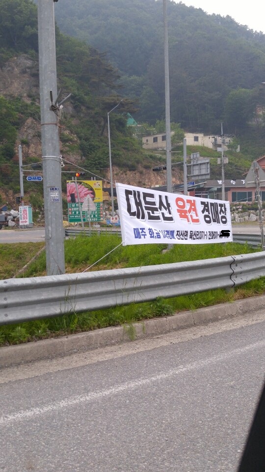 금산 대둔산 육견경매장 버젓이 현수막까지 걸려있습니다.