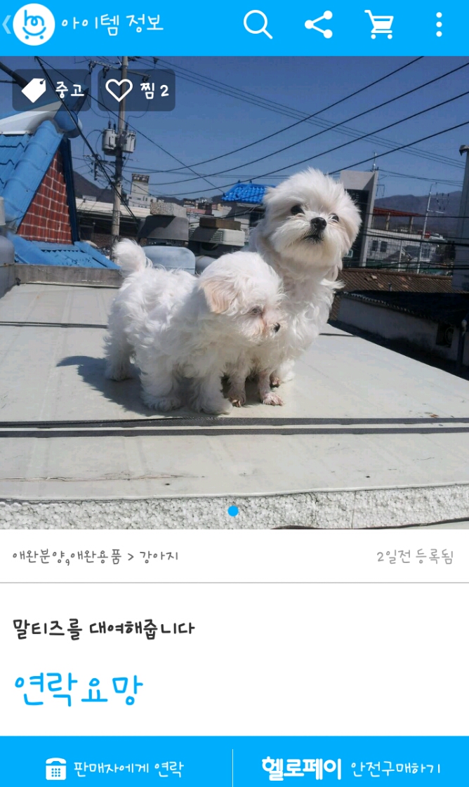 지 목숨 아니면 생명취급 안하는 세상