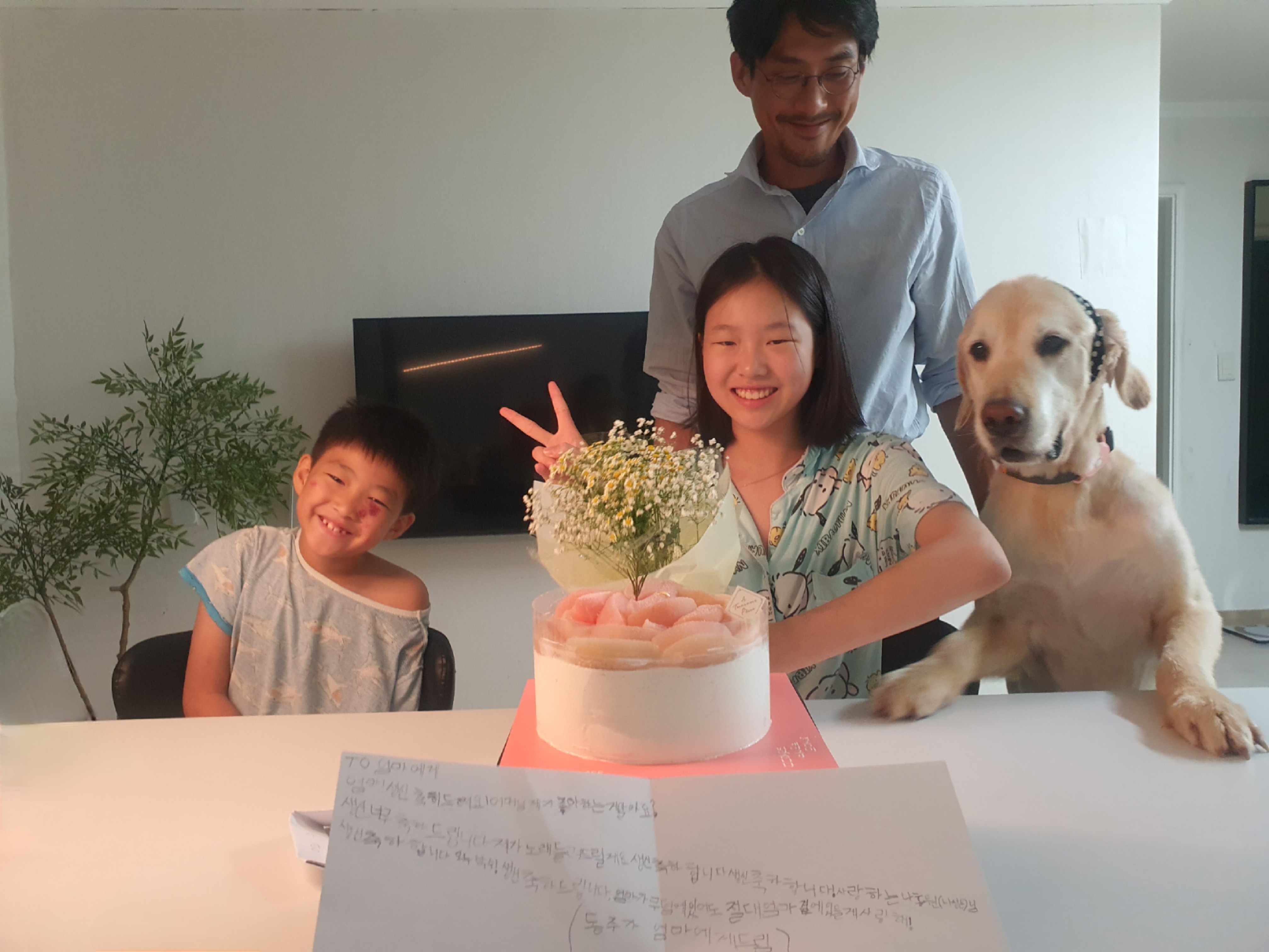 조아( 사복이) 입양  한달 일기