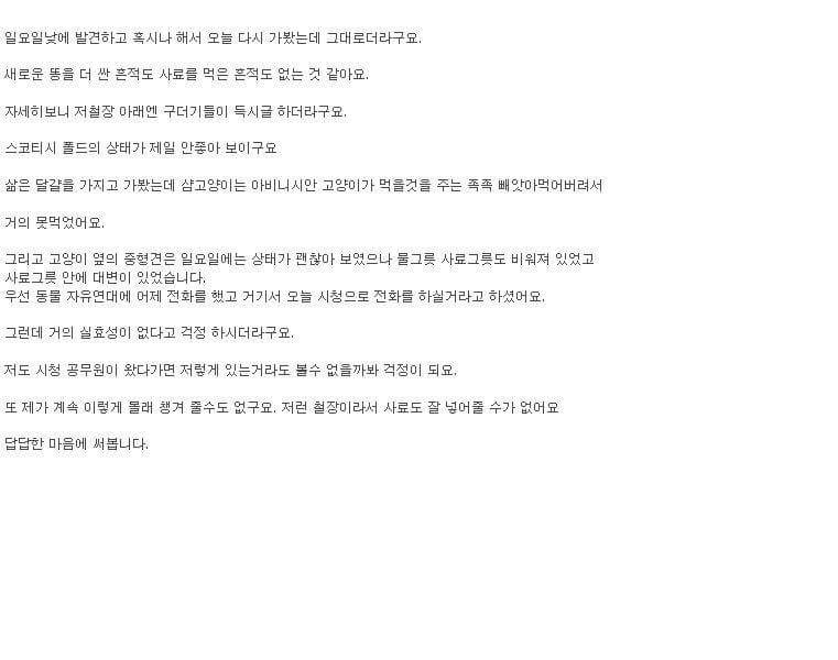 도와주세요ㅠㅠ