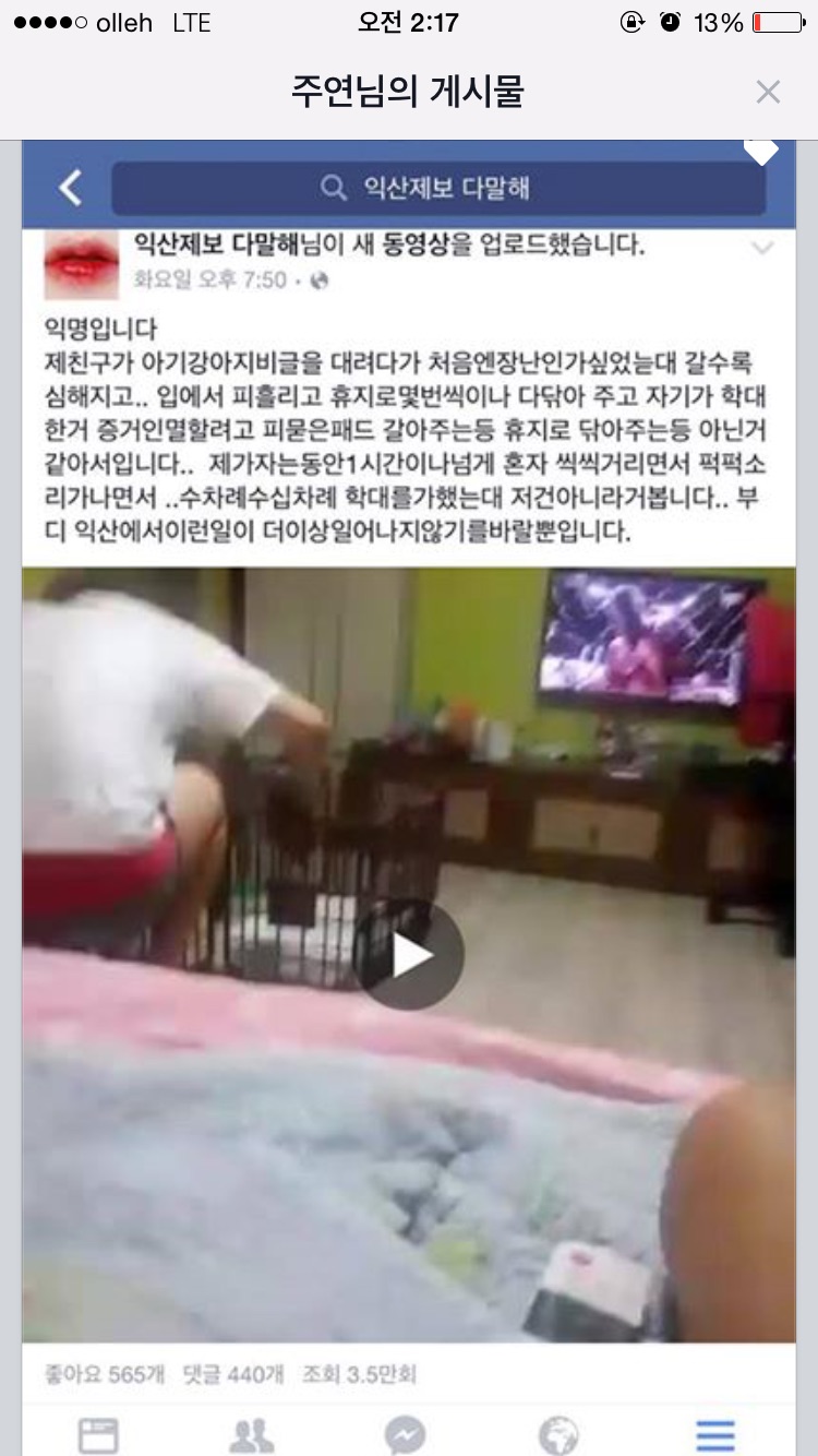 아기비글을 피나도록 몇시간동안 학대하는 사람좀 잡아주세요
