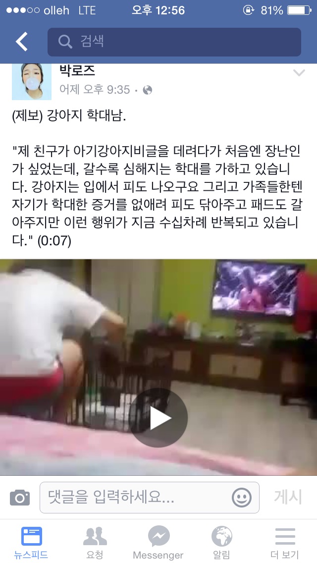 비글학대남