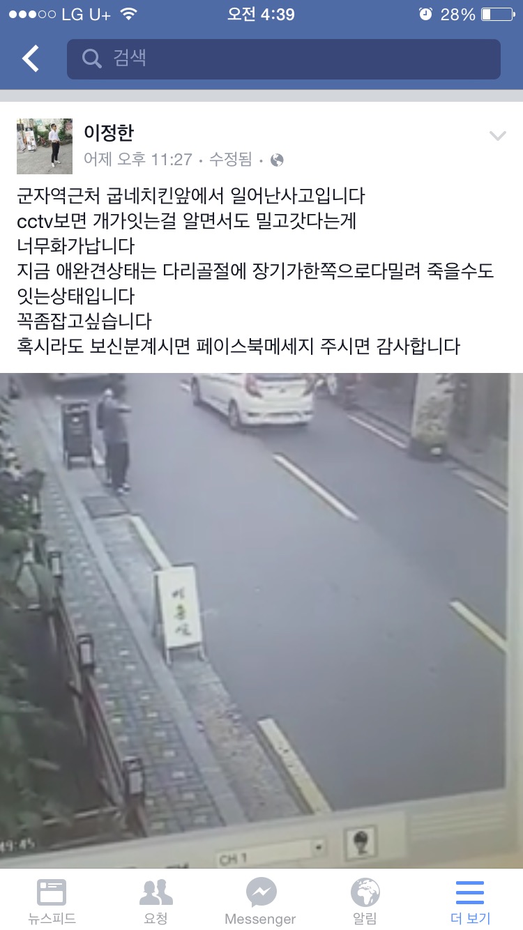 뻥소니 강아지 도와쥬세요