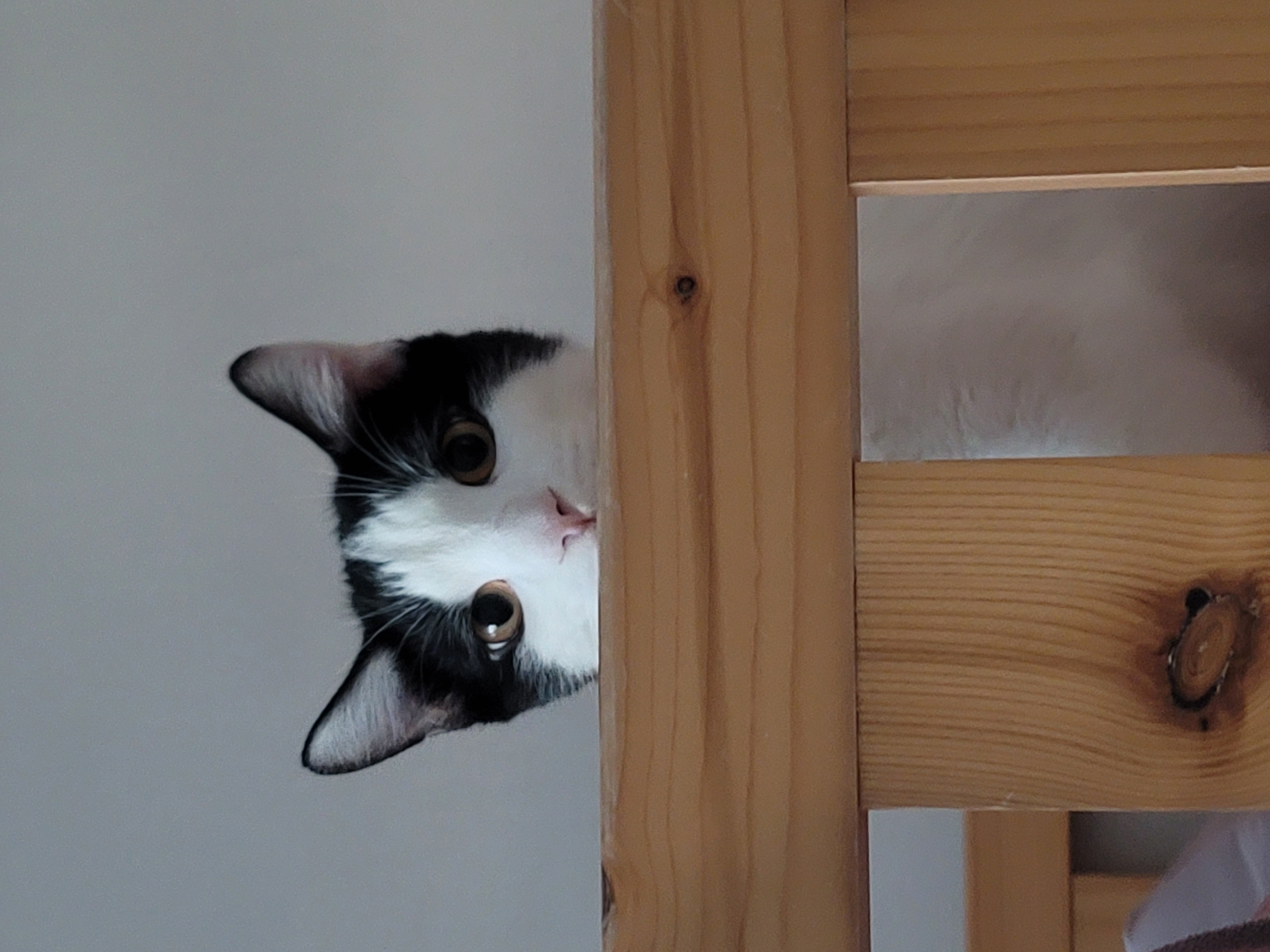 우주는 조금씩, 그러나 열심히 탐색과 적응을 하고 있습니다.