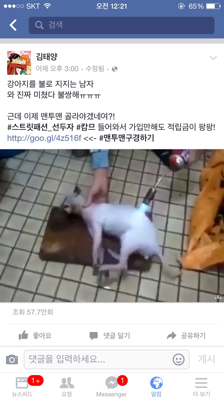 페이스북에 강아지를 불로 지지는 영상이 떠돌고 있습니다.