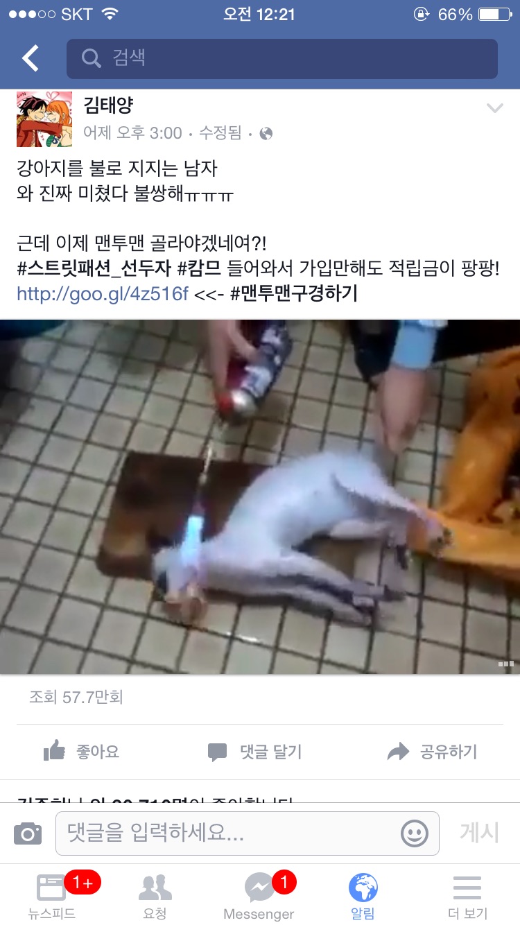 페이스북에 강아지를 불로 지지는 영상이 떠돌고 있습니다.