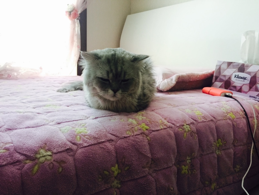 안녕하세요.. 도움 부탁 드립니다...