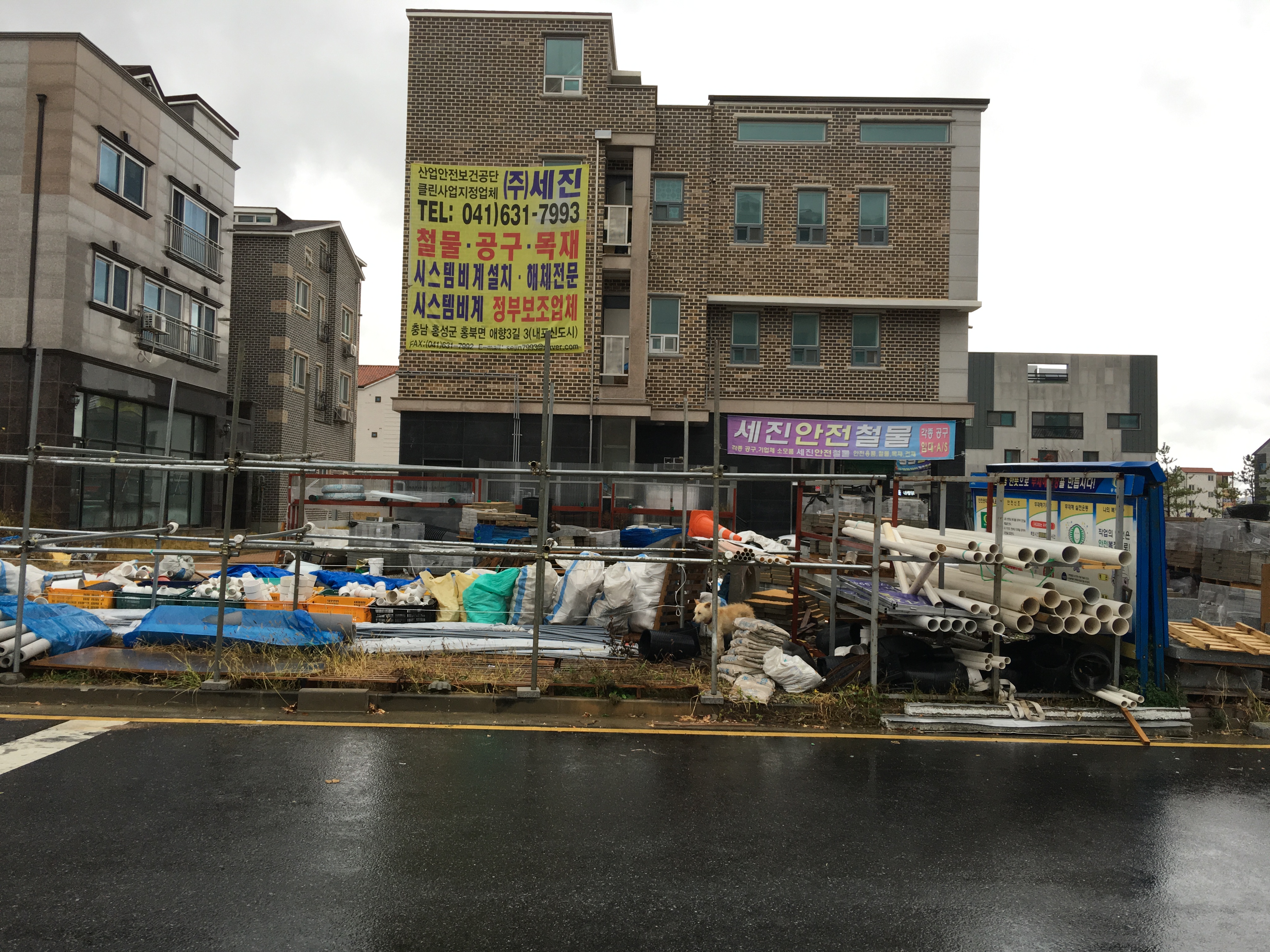불상한 누렁이좀  어찌 해주세요
