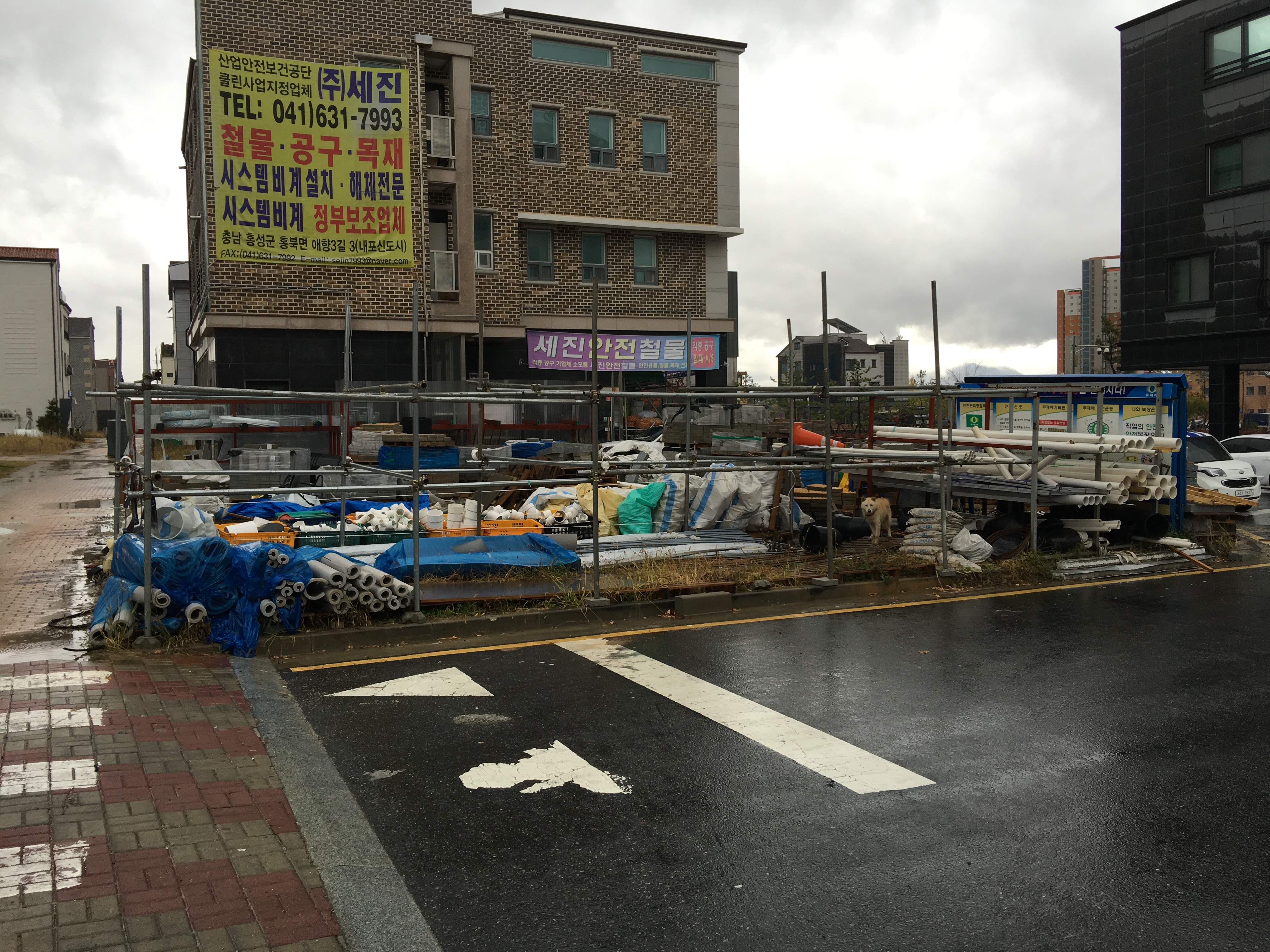 불상한 누렁이좀  어찌 해주세요