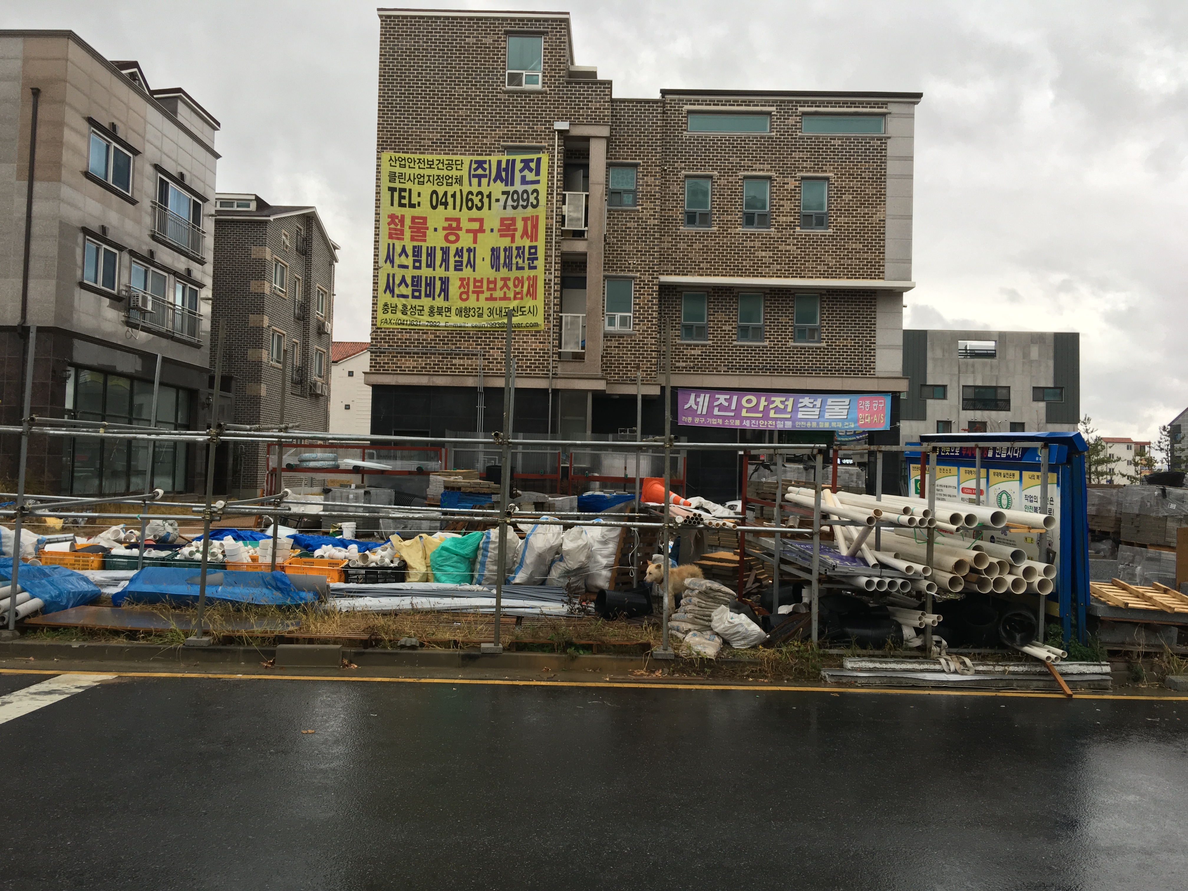 불상한 누렁이좀  어찌 해주세요