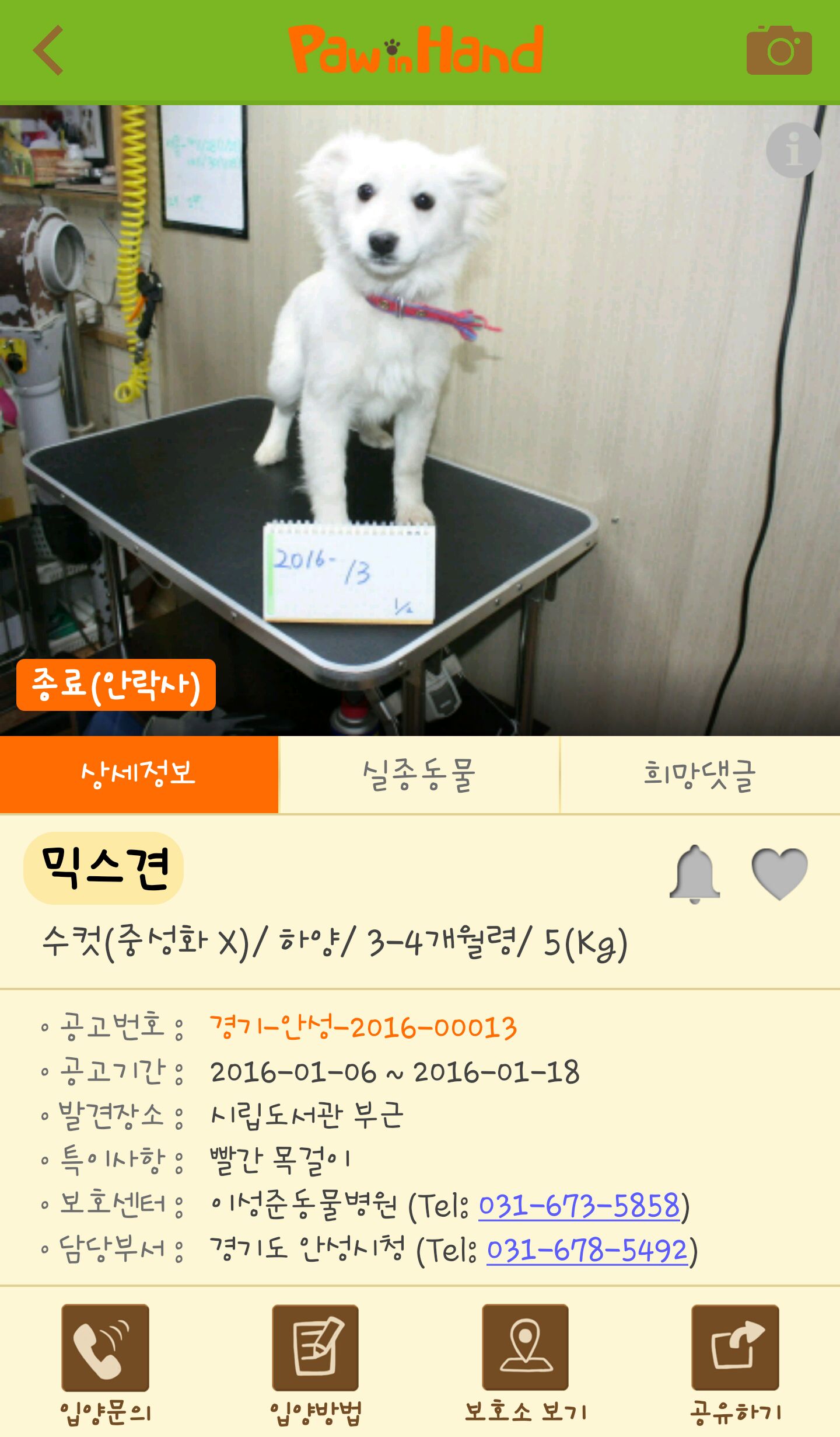 보호기간없이 안락사시키는곳
