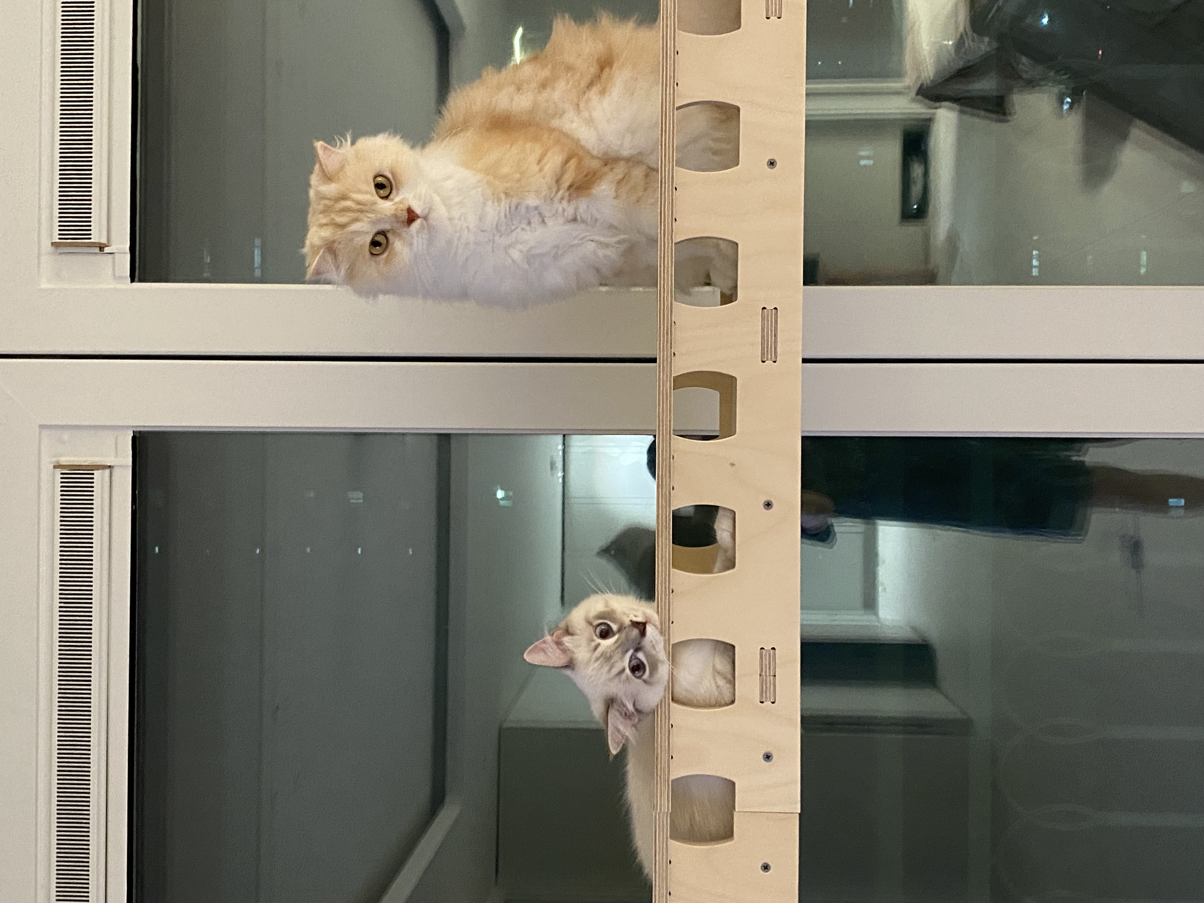설기의 한달