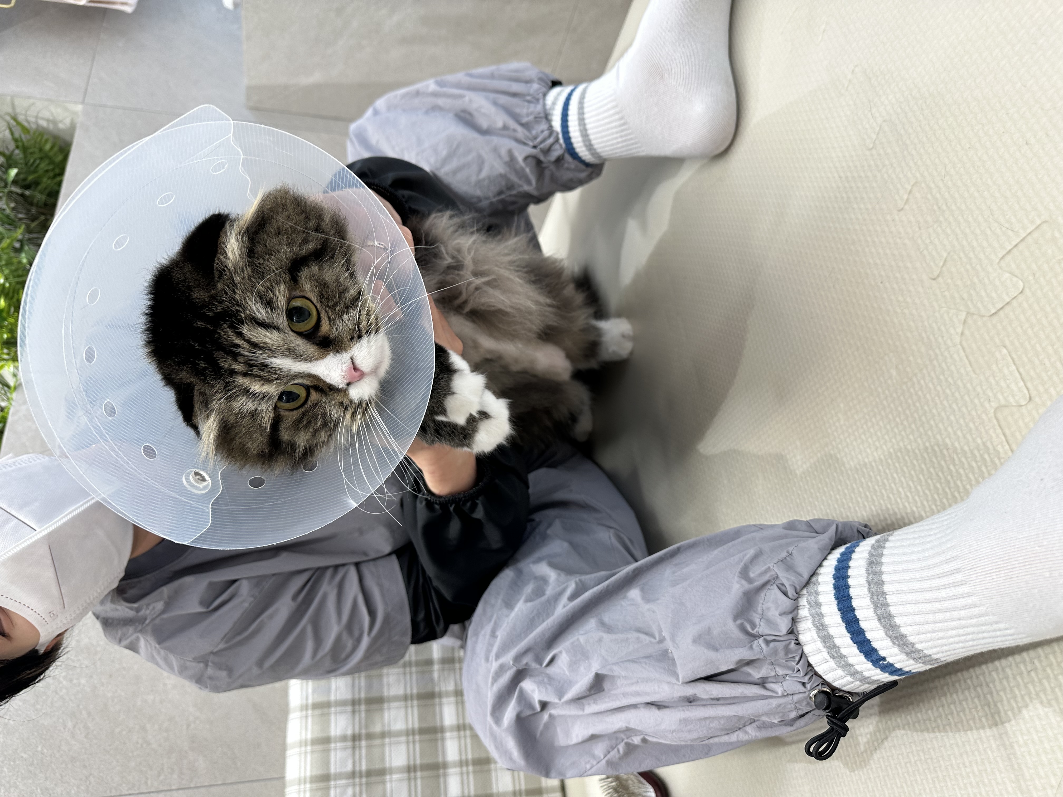 버터(구 맘마) 입양 한달 후기!! 