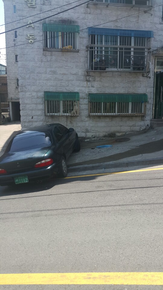 이것도 동물학대아닌가요? 확인부탁드려요