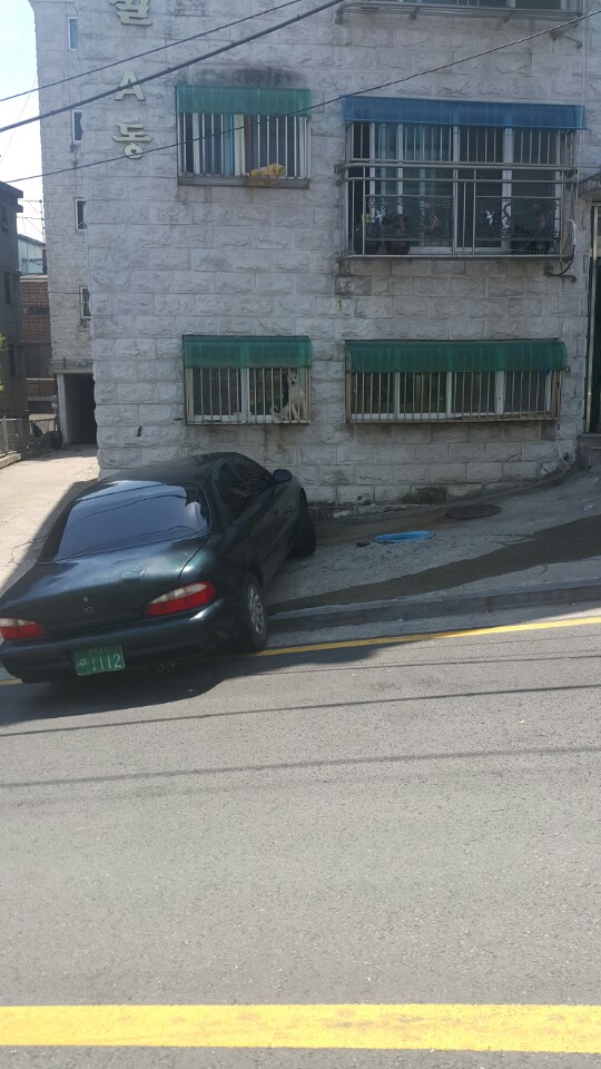 이것도 동물학대아닌가요? 확인부탁드려요