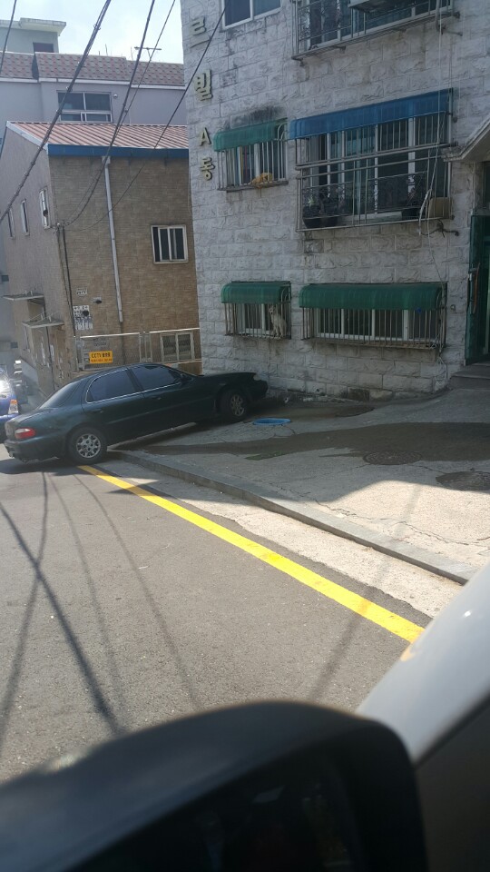 이것도 동물학대아닌가요? 확인부탁드려요