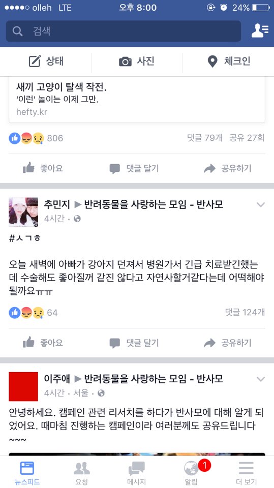 실시간 올라오는 요크셔테리어 던져 사망으로 이르게 한 남자의 처벌 부탁드립니다.