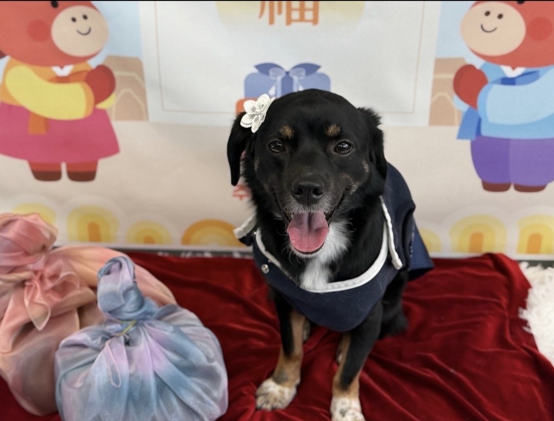 두양이 잘지내고 있습니다~