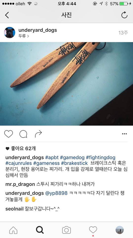 투견에 대해 궁금합니다.