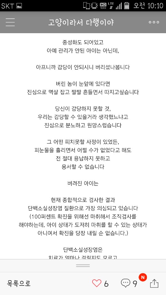 복수찬 말티즈 아이가 유기 되었어요.
