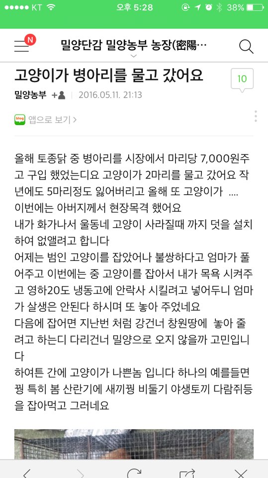 밀양감귤 농장 고양이 학대사건 