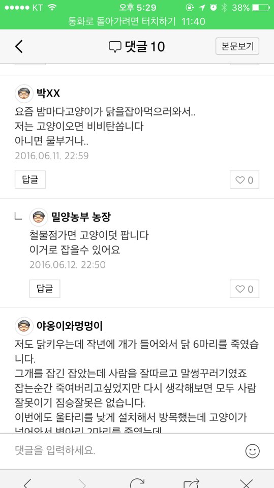 밀양감귤 농장 고양이 학대사건 