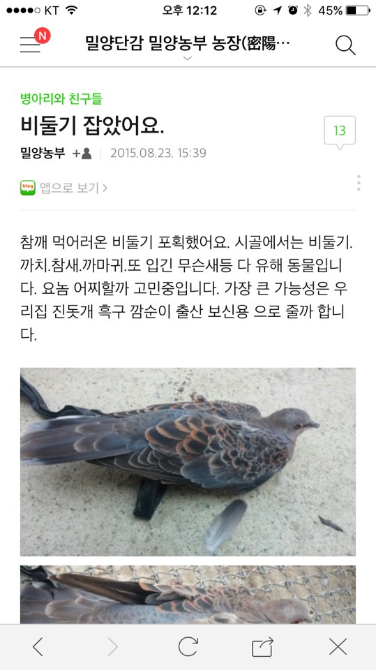 밀양감귤 농장 고양이 학대사건 