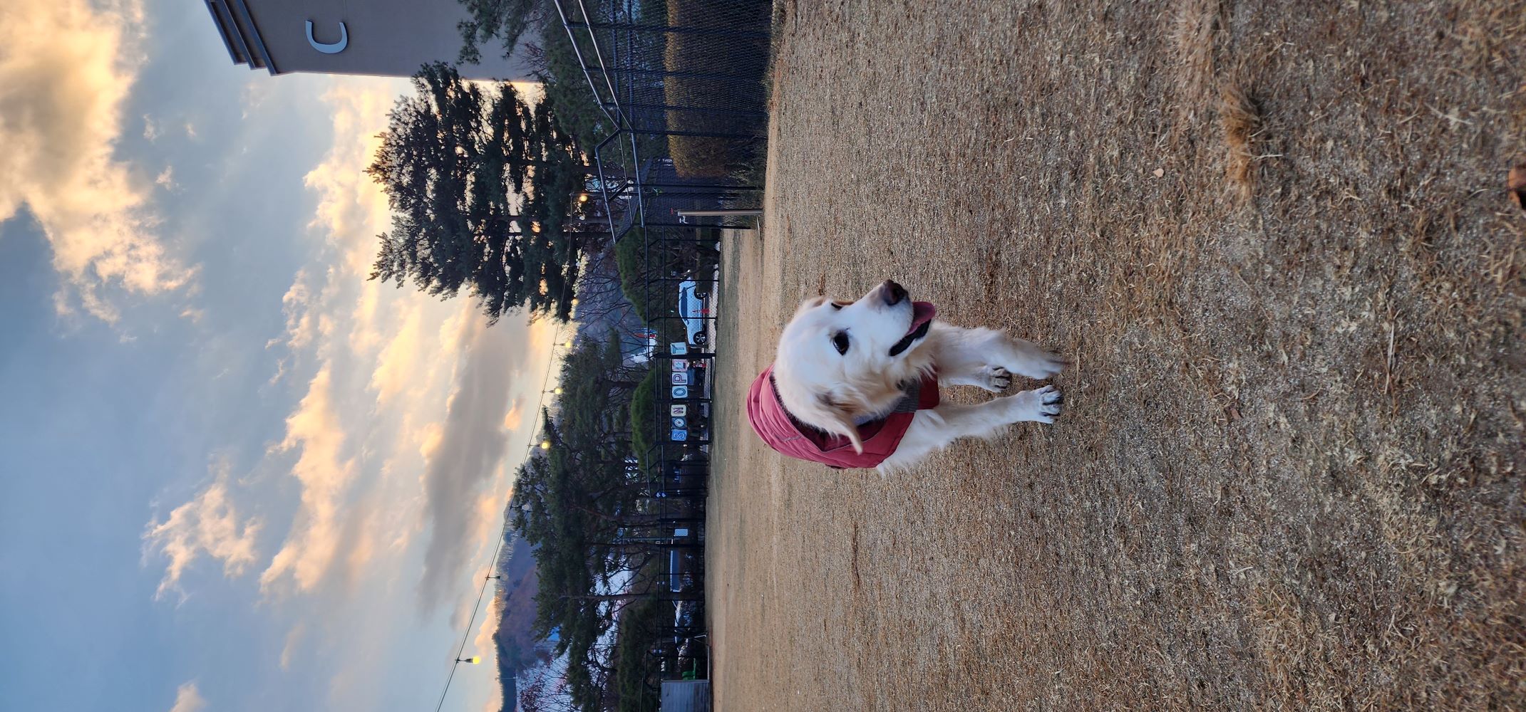 (호박) 호박이가 혼자 소풍을 떠났습니다.