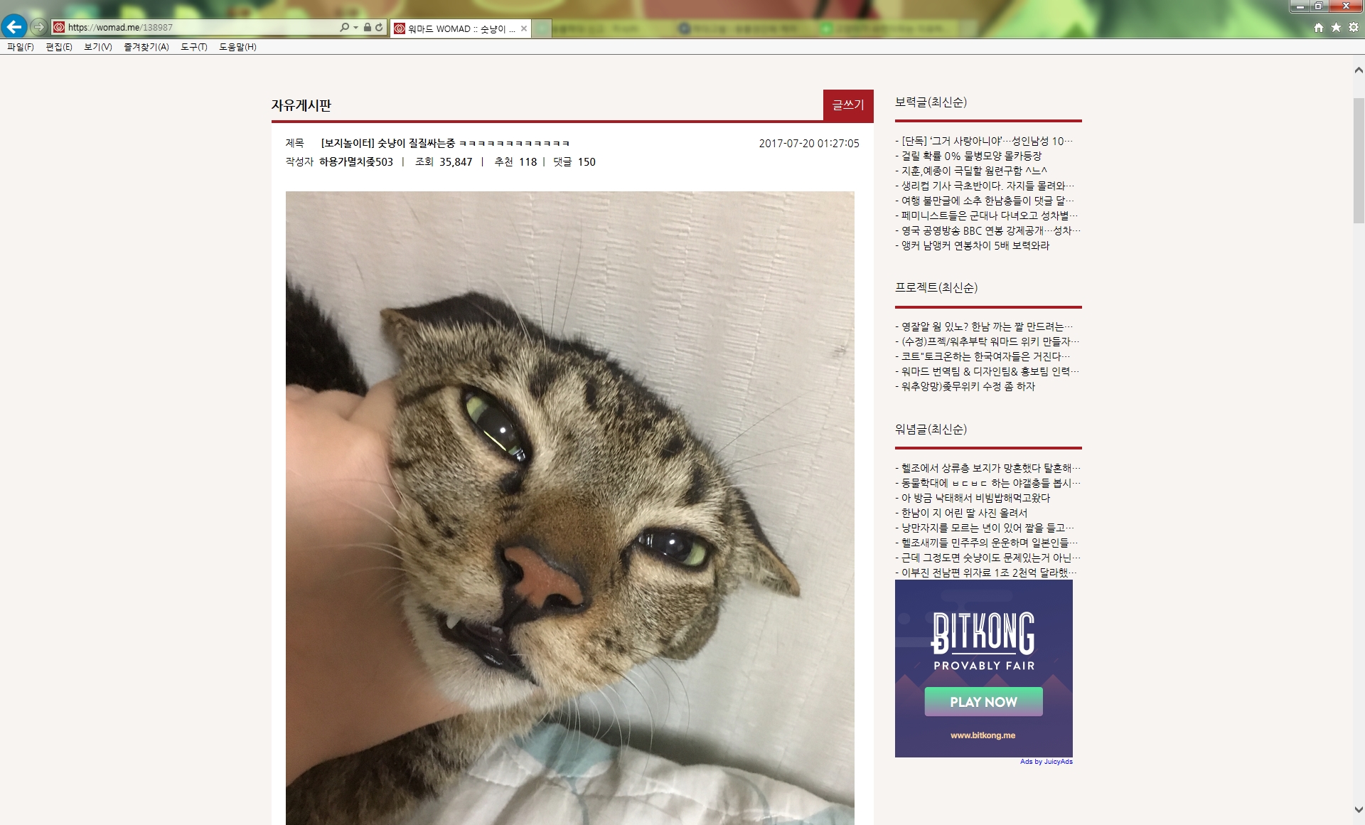 고양이 학대하는 것을 자랑스렙게 게시판에 올리는 여자가 있어 신고합니다.