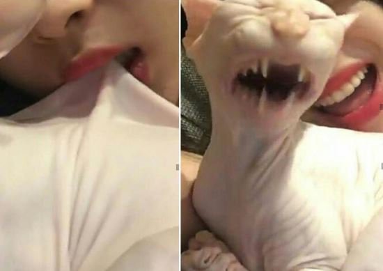 인스타그램에 많은 사람들이 이미 다 봤고, 기사까지 퍼지고 있습니다.