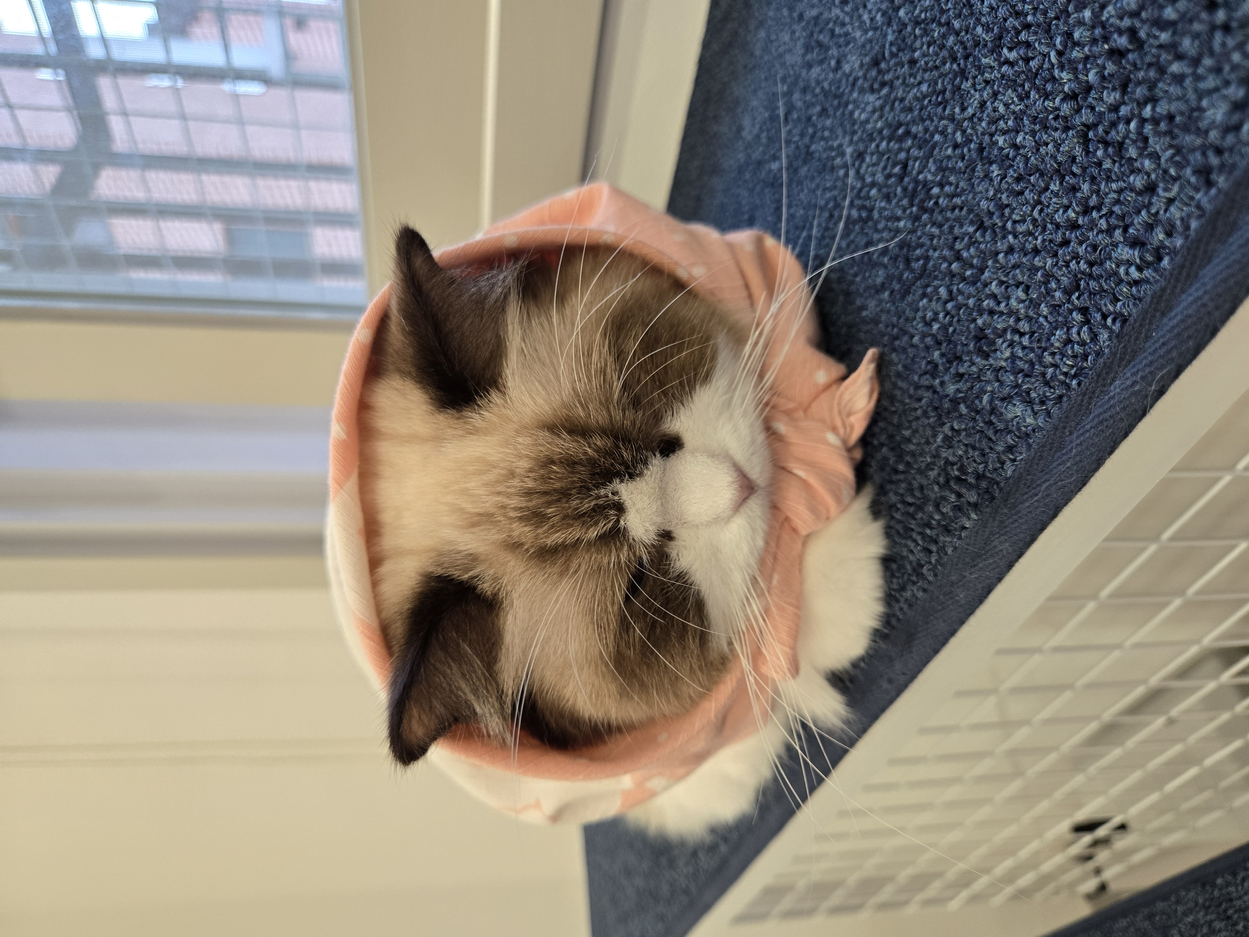 미야오(마시) 우리는 가족 : 3개월 차