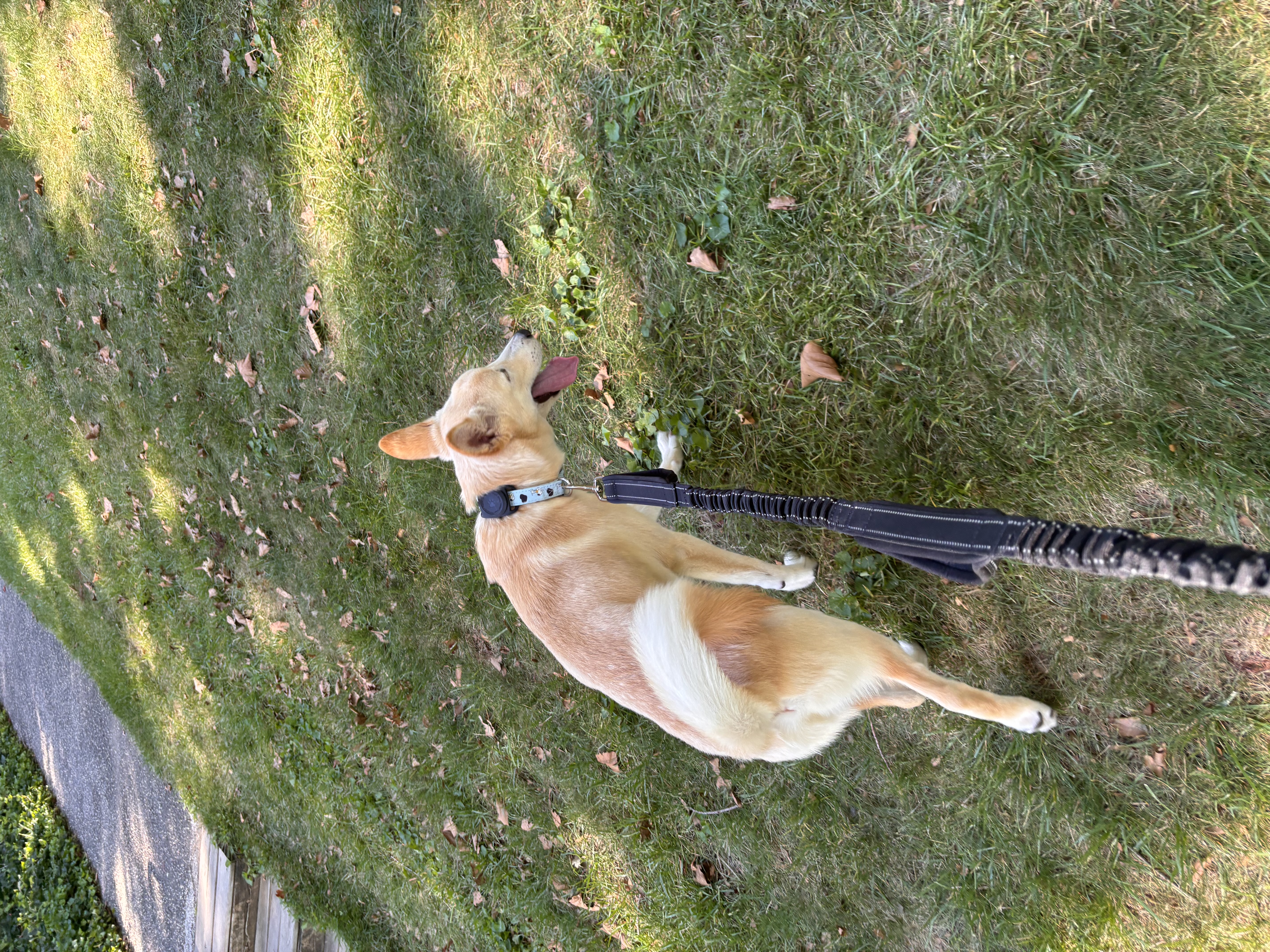 [해외입양] 미국 워싱턴에서 전해온 '영돌이' 소식