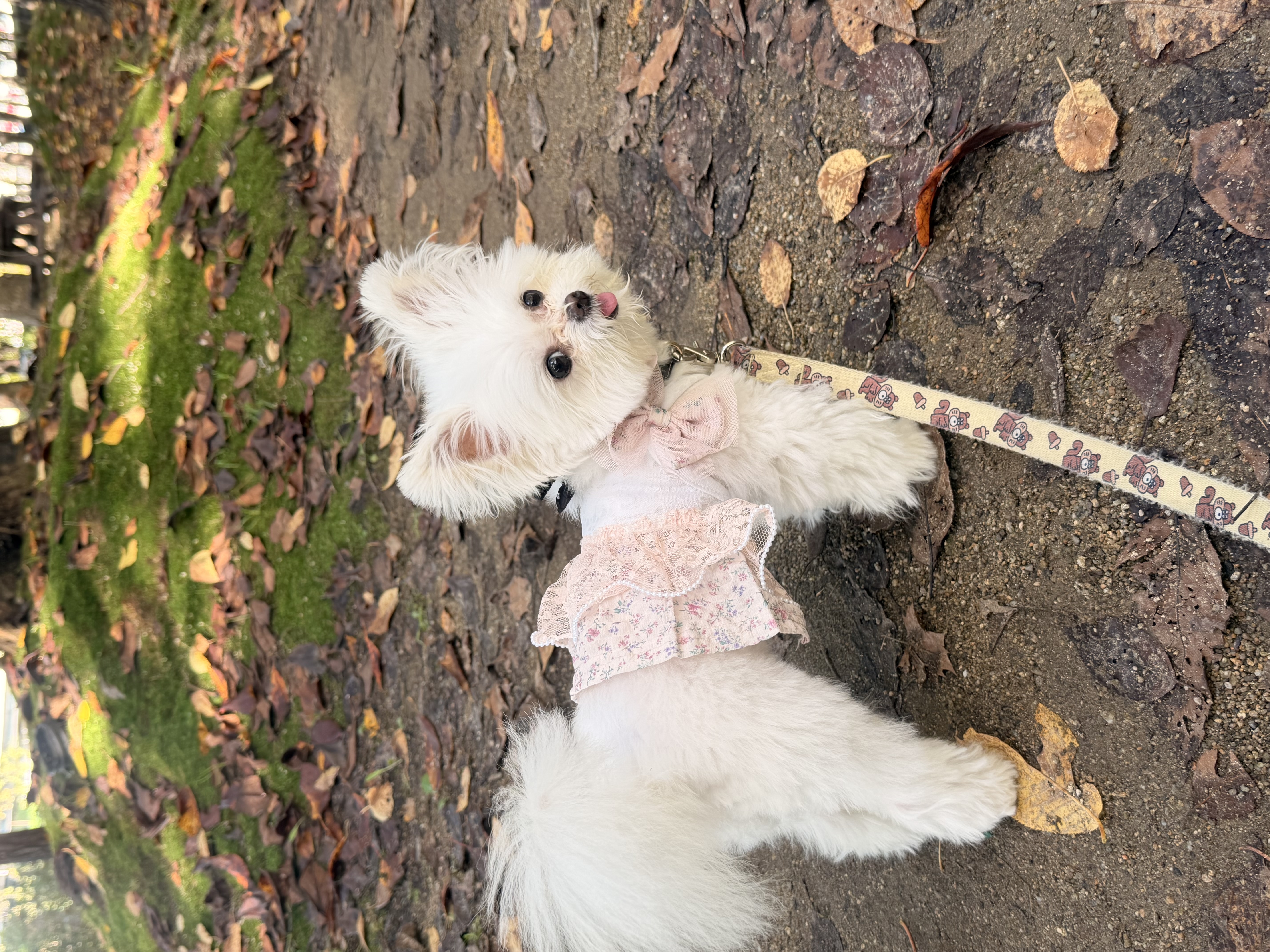 아산 가희->나엘 입양 3주년