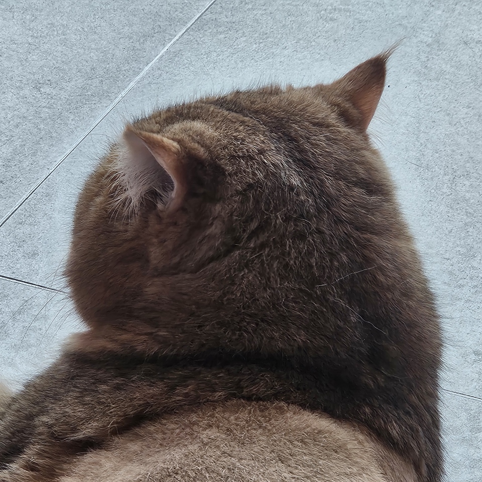 구두부 현마루가 가족이 된 지 2년째 후기입니다.