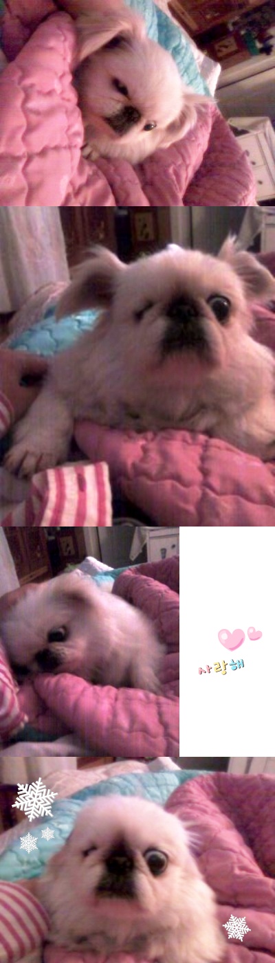 오오,머리부터발끝까지다사랑스러워~