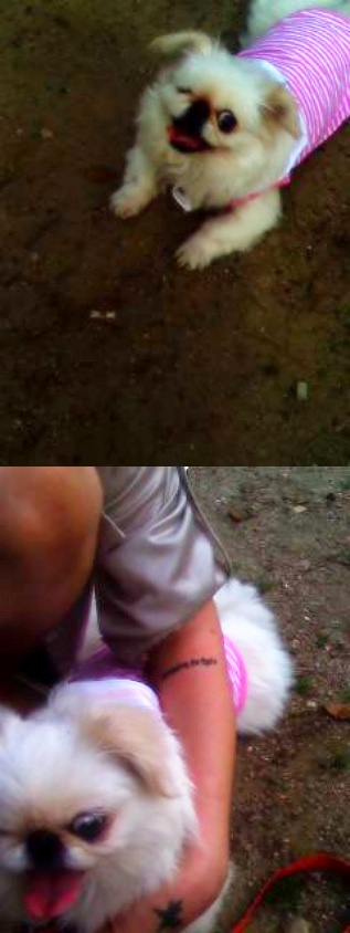 오오,머리부터발끝까지다사랑스러워~