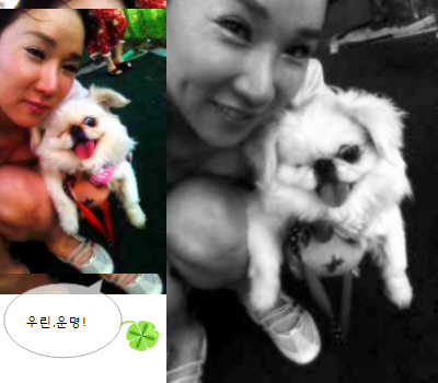 오오,머리부터발끝까지다사랑스러워~