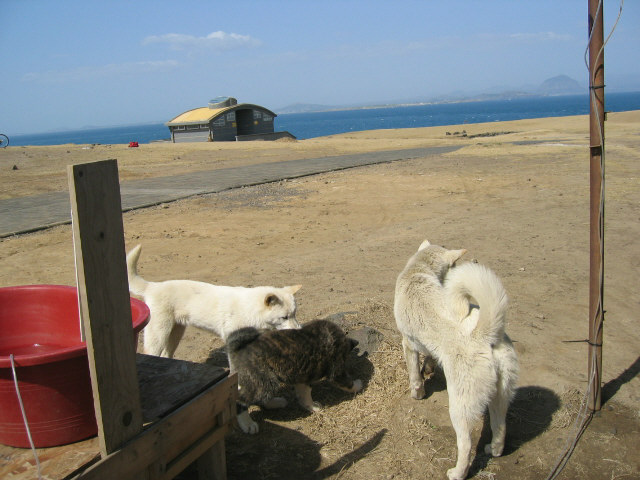 수리..